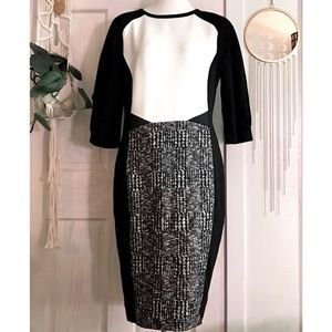 MOVING SALE!  NWOT | Marc Cain Collections B&W Sheath Dress Zipper Back MIDI